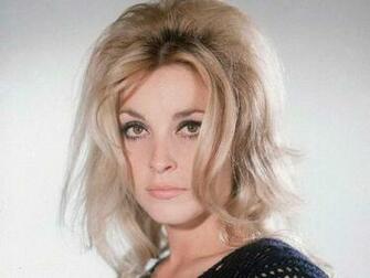 Num Sharon Tate Wallpaper Wsource
