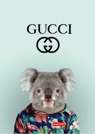iPhone Wallpaper On Gucci X Supreme