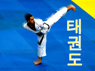 The Gallery For Gt Tkd Wallpaper