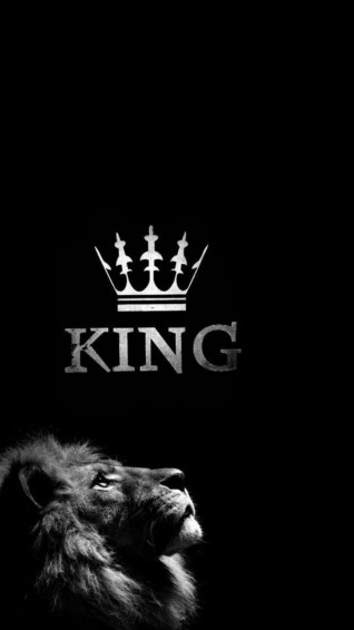 Man Wild On Black Lion Image Blur Background In