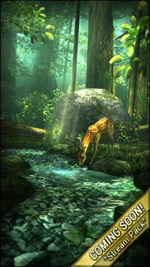 Forest HD Playboard Play Store