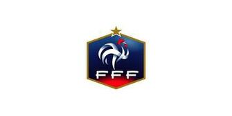 The Unofficial Logo Design World Cup Down With