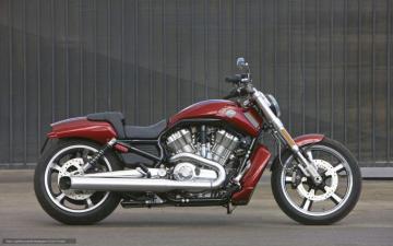 Harley Davidson Vrscf V Rod Muscle Pic Onlymotorbikes