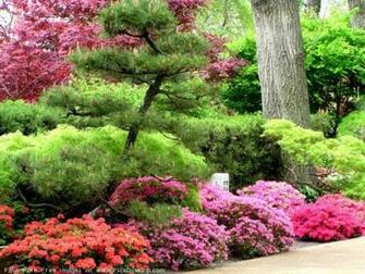 Springtime Background Desktop Nature