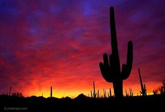 In Tucson Computer Desktop Wallpaper For Windows Or Mac