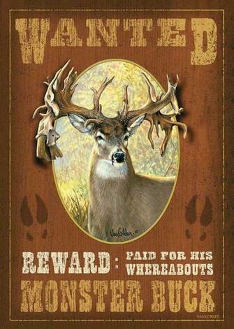 Whitetail Wallpaper Screensavers