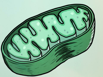 Sperm Self Sabotage To Make Sure Mothers Have A Bigger Influence