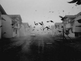 Chilling Photographs Expose The Aftermath Of Srebrenica