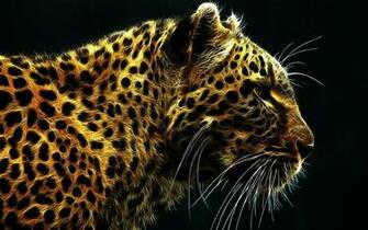 Daily Wallpaper Cheetah
