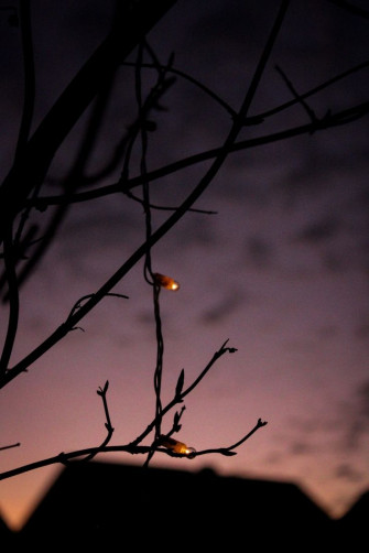 Moody Lights Aesthetic Wallpaper