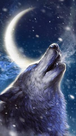 Anime Wolf Wallpaper On