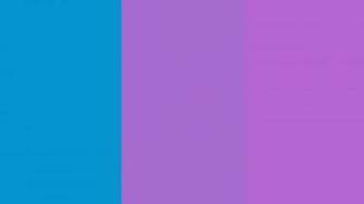 Displaying Image For Lilac Lavender Color