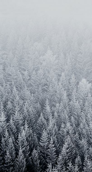 The New Ios Wallpaper
