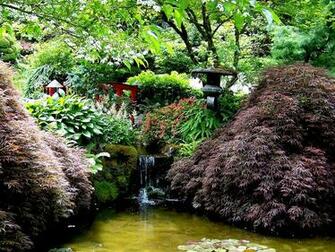 Japanese Maple Garden Wallpaper