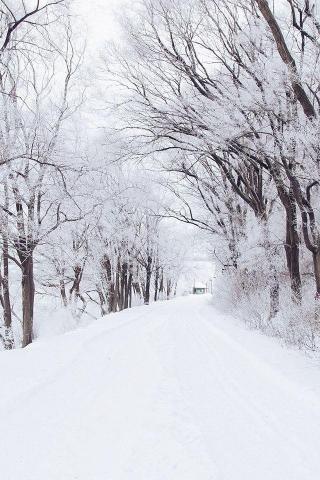 Winter Road Romantic Nature Snow White iPhone 4s Wallpaper