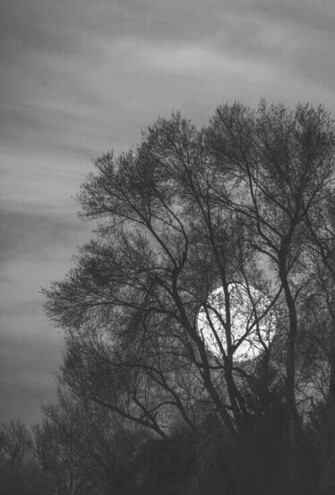 Background Beautiful Black And White Cloud Fade Fog Grey Hide
