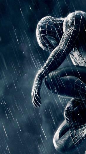 Spiderman Black And Blue Mobile HD Wallpaper Vactual Papers