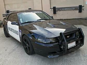 Mustang Cobra Terminator Diymid