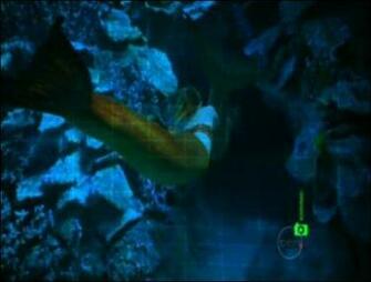 H2o Just Add Water Mako Island Moon Pool