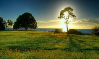 Beautiful Wallpaper Screenshot Thumbnail