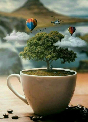 Morning Miniature Photography Conceptual Photo Art