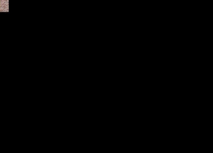 Wally Where S Photo