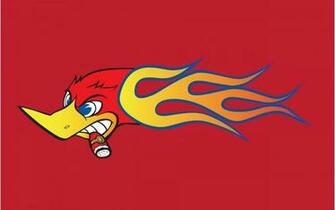 Woody Woodpecker Wallpaper