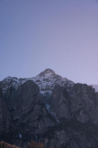 Grey Image