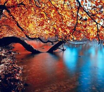 QHD Wallpaper For Android