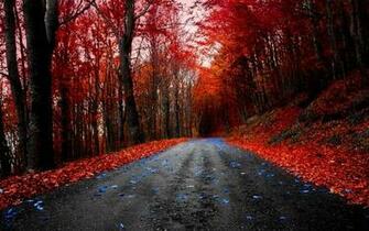Red Nature Wallpaper