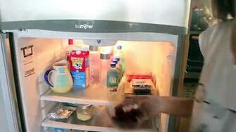 Summer Morning Routine Video Dailymotion