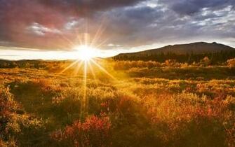 Tag Beautiful Sunrise Wallpaper Background Photos Image And