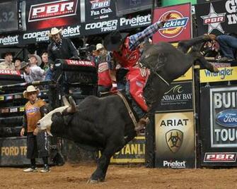 Bull Riding Bullrider Rodeo Western Cowboy Extreme Cow