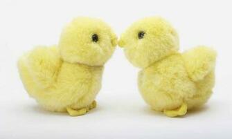 Cute Easter Chicks Wallpaper Cool Christian