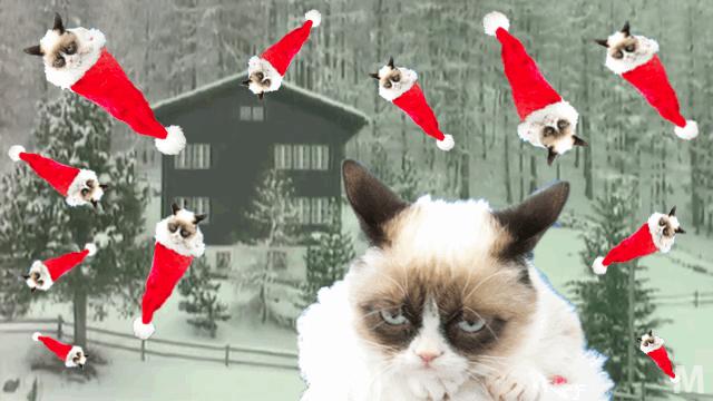 Bonus Crappy Holidays From Grumpy Cat