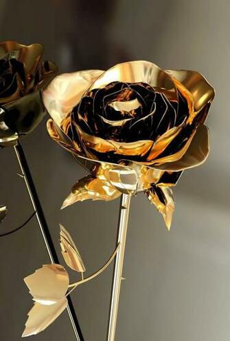 Gold Roses HD Wallpaper At Parallax