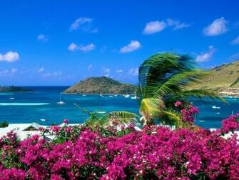 Summer Flowers Photo Gallery Popular