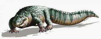 Crocodile Wallpaper HD