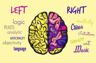 Left Brain Right Wallpaper