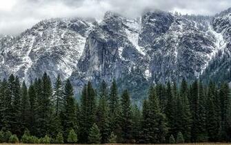 Thank Apple S Os X Yosemite Announcement For This Collection Of