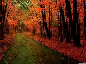 Autumn Time Pictures Collection Mobogenie