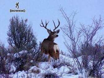 The Browning Buck This Is That Has Spent Several Winters