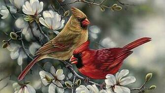 Screenheaven Cardinal Pair F2 Avian Art Wildlife Wide