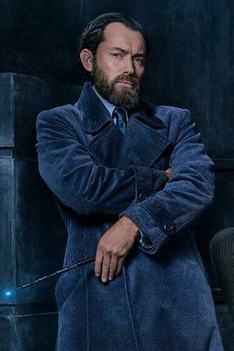 Fantastic Beasts Producer Describes Young Dumbledore
