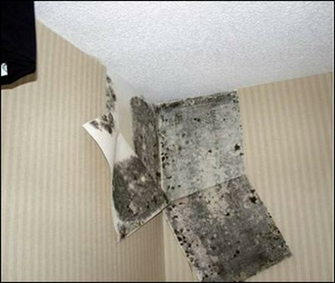 Nj Mold Llc Ny Ct Toll Summit