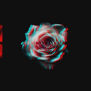 Rose Glitch Wallpaper Top Background