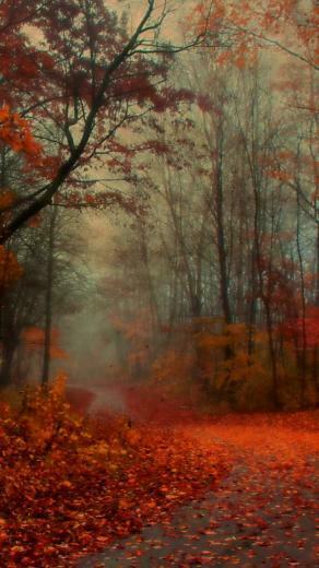 Romantic Autumn iPhone 5s Wallpaper iPad