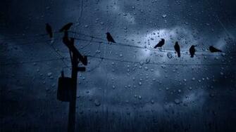 Weather Rain Birds Winter Cloudy Sky Wallpaper