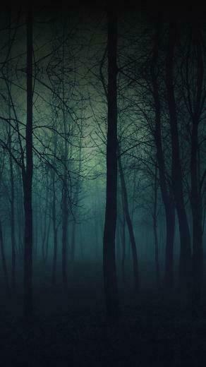 Ios7 Foggy Forest Parallax HD iPhone iPad Wallpaper