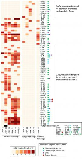 Distribution Of Cazy Protein Classes With Sequence Similarity To